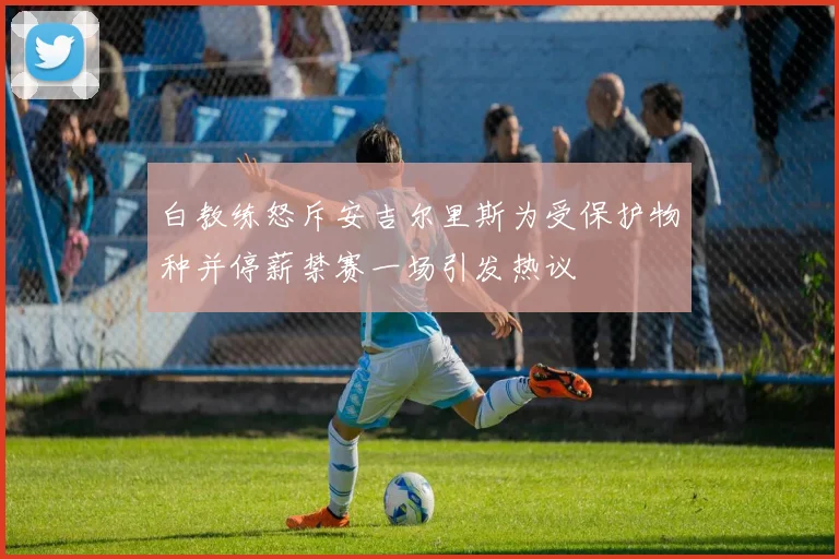 白教练怒斥安吉尔里斯为受保护物种并停薪禁赛一场引发热议