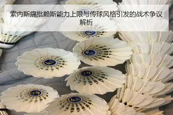 索内斯痛批赖斯能力上限与传球风格引发的战术争议解析